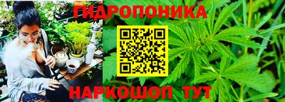 ГАЛЛЮЦИНОГЕННЫЕ ГРИБЫ Ливны